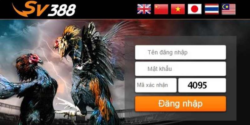 Đăng Nhập Daga – Hướng Dẫn Các Bước Cụ Thể Cho Tân Thủ